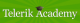Telerik Academy