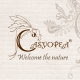 Casyopea